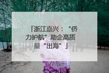 浙江嘉兴：“侨力护航”助企高质量“出海”