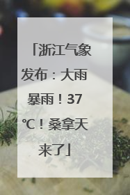 浙江气象发布：大雨暴雨！37℃！桑拿天来了