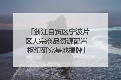 浙江自贸区宁波片区大宗商品资源配置枢纽研究基地揭牌