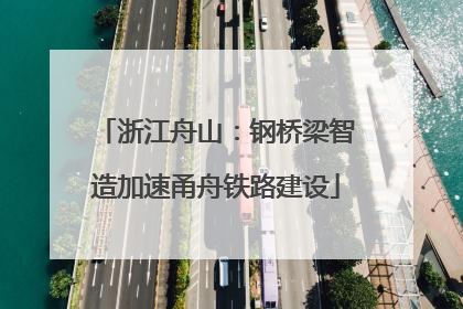 浙江舟山：钢桥梁智造加速甬舟铁路建设
