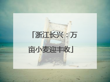 浙江长兴：万亩小麦迎丰收