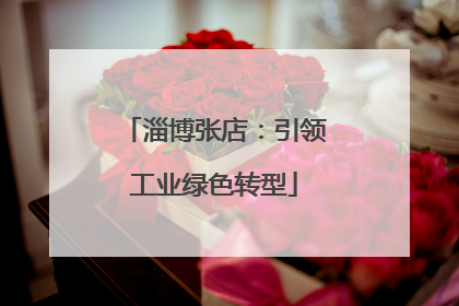 淄博张店：引领工业绿色转型