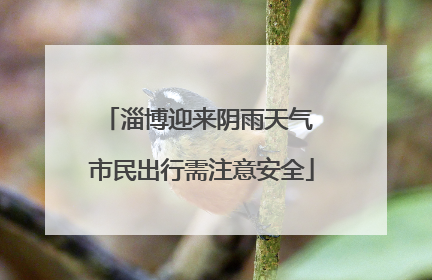 淄博迎来阴雨天气 市民出行需注意安全