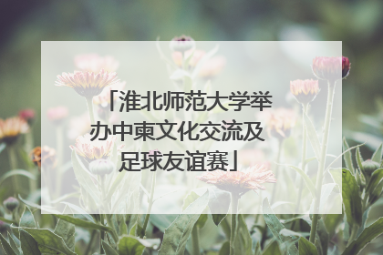 淮北师范大学举办中柬文化交流及足球友谊赛