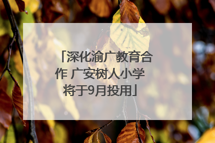 深化渝广教育合作 广安树人小学将于9月投用
