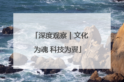 深度观察｜文化为魂 科技为翼