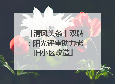 清风头条丨双牌：阳光评审助力老旧小区改造