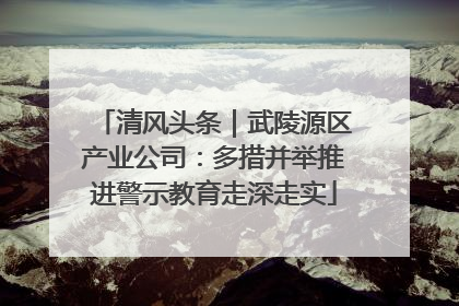 清风头条｜武陵源区产业公司：多措并举推进警示教育走深走实