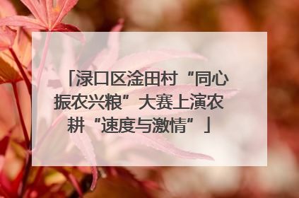 渌口区淦田村“同心振农兴粮”大赛上演农耕“速度与激情”