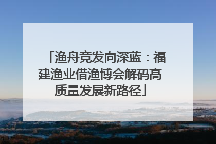 渔舟竞发向深蓝：福建渔业借渔博会解码高质量发展新路径