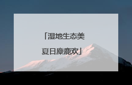 湿地生态美 夏日麋鹿欢
