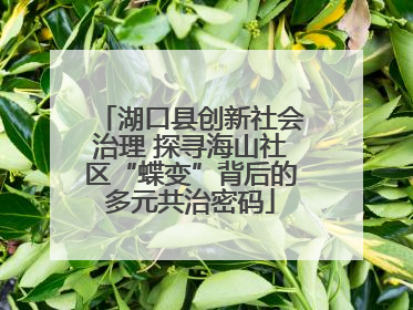 湖口县创新社会治理 探寻海山社区“蝶变”背后的多元共治密码