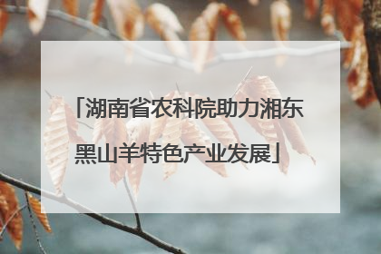 湖南省农科院助力湘东黑山羊特色产业发展
