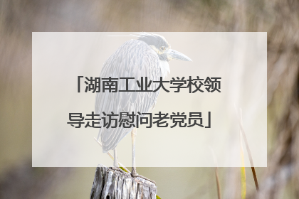 湖南工业大学校领导走访慰问老党员
