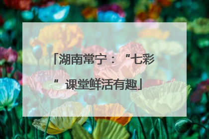 湖南常宁：“七彩”课堂鲜活有趣