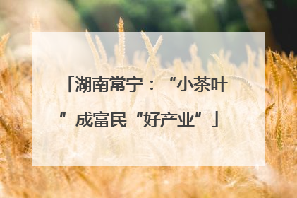湖南常宁：“小茶叶”成富民“好产业”