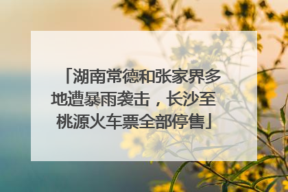 湖南常德和张家界多地遭暴雨袭击，长沙至桃源火车票全部停售