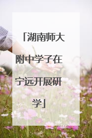 湖南师大附中学子在宁远开展研学