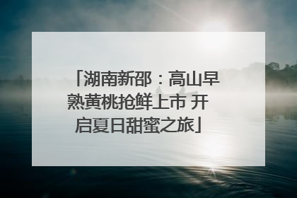 湖南新邵：高山早熟黄桃抢鲜上市 开启夏日甜蜜之旅