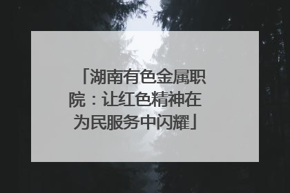 湖南有色金属职院：让红色精神在为民服务中闪耀