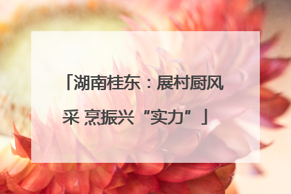 湖南桂东：展村厨风采 烹振兴“实力”