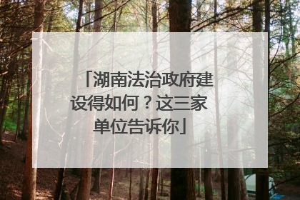 湖南法治政府建设得如何？这三家单位告诉你