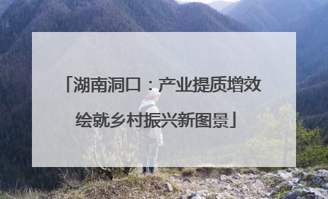 湖南洞口：产业提质增效 绘就乡村振兴新图景