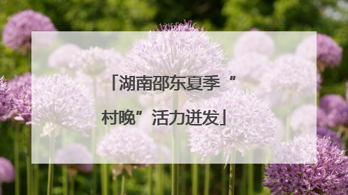 湖南邵东夏季“村晚”活力迸发