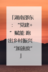 湖南邵东：“党建+”赋能 跑出乡村振兴“加速度”
