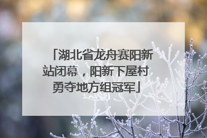 湖北省龙舟赛阳新站闭幕，阳新下屋村勇夺地方组冠军