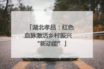 湖北孝昌：红色血脉激活乡村振兴“新动能”