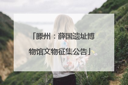 滕州：薛国遗址博物馆文物征集公告