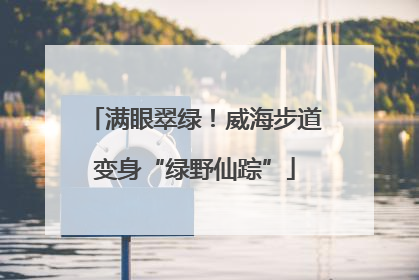 满眼翠绿！威海步道变身“绿野仙踪”