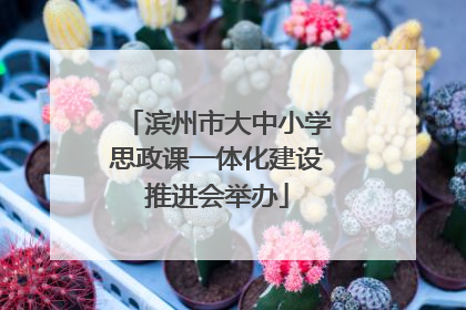 滨州市大中小学思政课一体化建设推进会举办