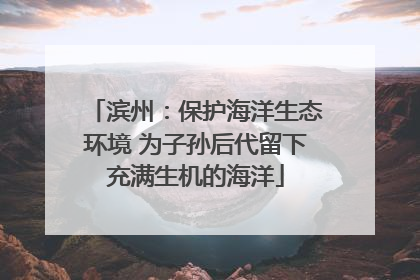 滨州：保护海洋生态环境 为子孙后代留下充满生机的海洋