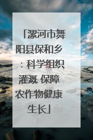 漯河市舞阳县保和乡：科学组织灌溉 保障农作物健康生长