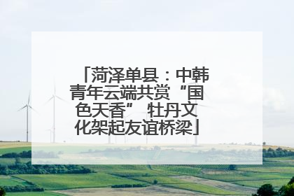 菏泽单县：中韩青年云端共赏“国色天香” 牡丹文化架起友谊桥梁