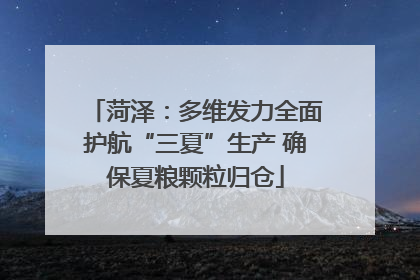 菏泽：多维发力全面护航“三夏”生产 确保夏粮颗粒归仓