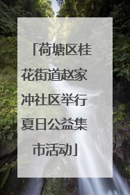 荷塘区桂花街道赵家冲社区举行夏日公益集市活动