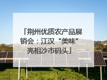 荆州优质农产品展销会：江汉“美味”亮相沙市码头