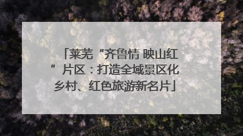 莱芜“齐鲁情 映山红”片区：打造全域景区化乡村、红色旅游新名片