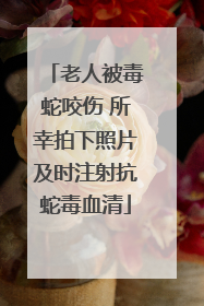 老人被毒蛇咬伤 所幸拍下照片及时注射抗蛇毒血清