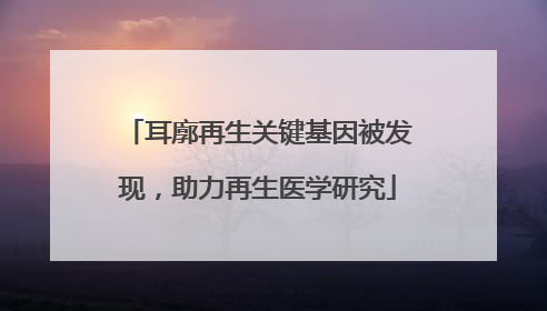 耳廓再生关键基因被发现，助力再生医学研究