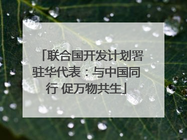 联合国开发计划署驻华代表：与中国同行 促万物共生