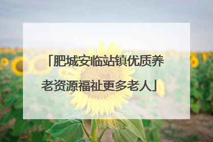 肥城安临站镇优质养老资源福祉更多老人