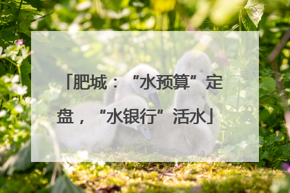 肥城：“水预算”定盘，“水银行”活水