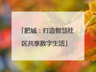 肥城：打造智慧社区共享数字生活