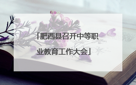 肥西县召开中等职业教育工作大会
