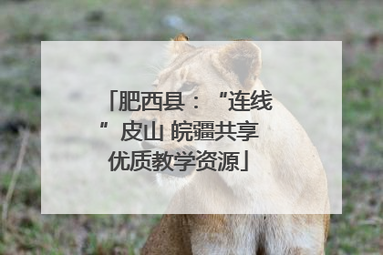肥西县：“连线”皮山 皖疆共享优质教学资源