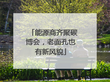 能源商齐聚碳博会，老面孔也有新风貌
